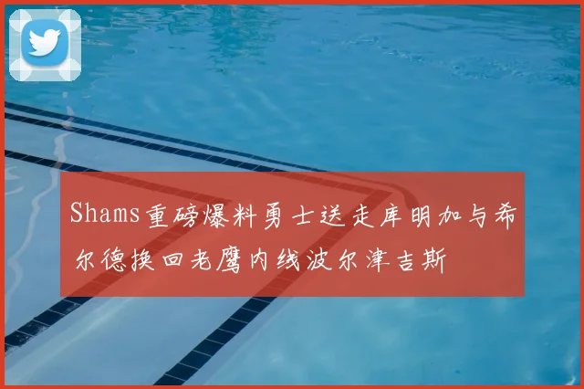 Shams重磅爆料勇士送走库明加与希尔德换回老鹰内线波尔津吉斯