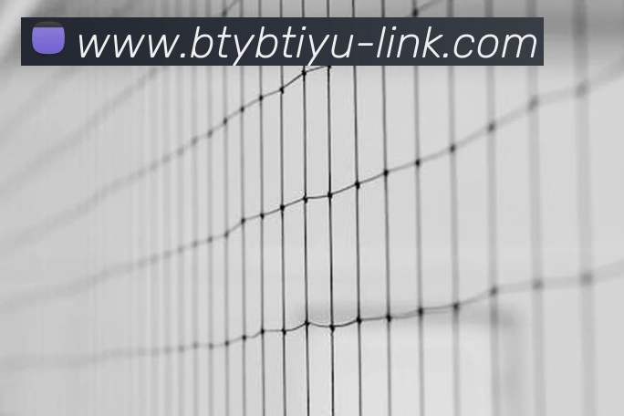 B体育官网 | 专注足球、篮球及电竞赛事深度报道门户平台生态图