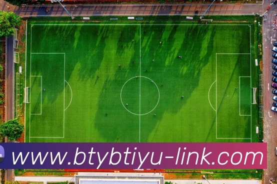 多媒体互动体验